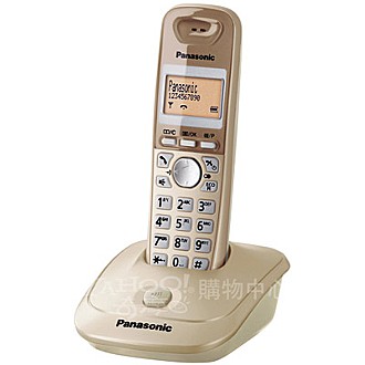 Panasonic 國際牌 ECO DECT數位節能無線電話 KX-TG2511(香檳金)