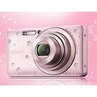 SONY DSC-W570D(吉野櫻粉)+8GB記憶卡